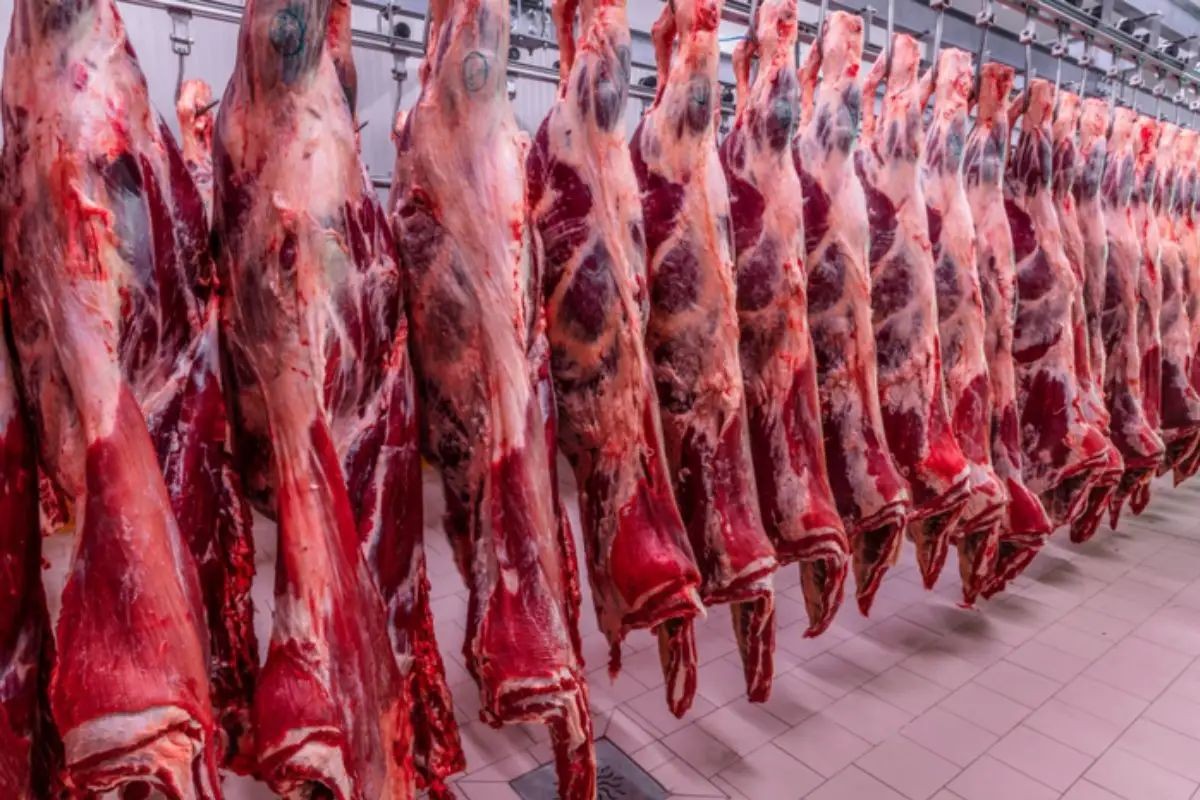 Sem União Europeia, Brasil pode deixar de exportar quase US$ 2 bilhões em carnes