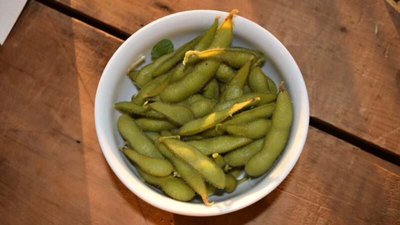 Edamame ganha versão brasileira, com grãos maiores e sabor mais suave