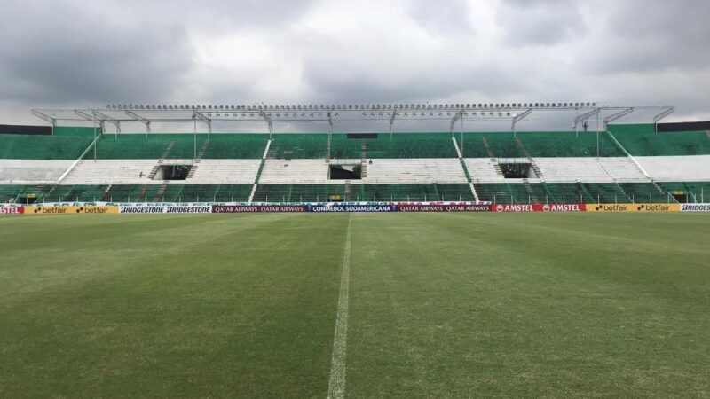 Blooming x Bragantino: onde assistir ao vivo, horário e escalações