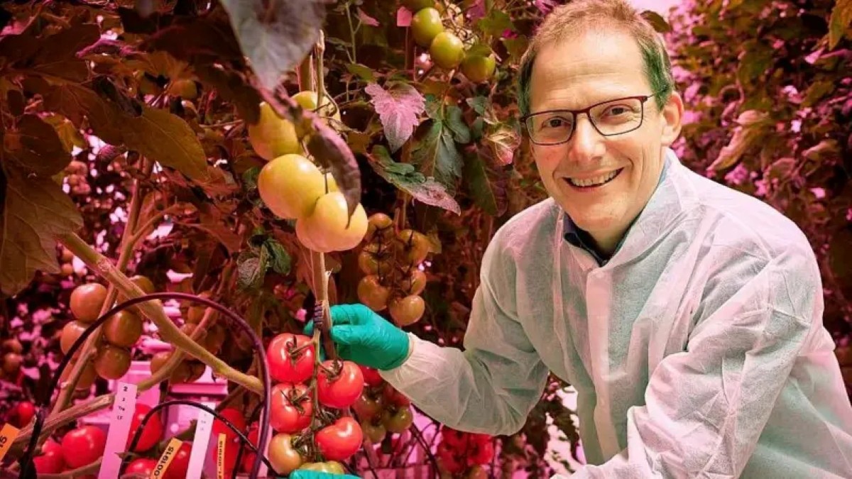 Como Países Baixos se tornaram terceiro maior exportador de alimentos do mundo apesar do território pequeno