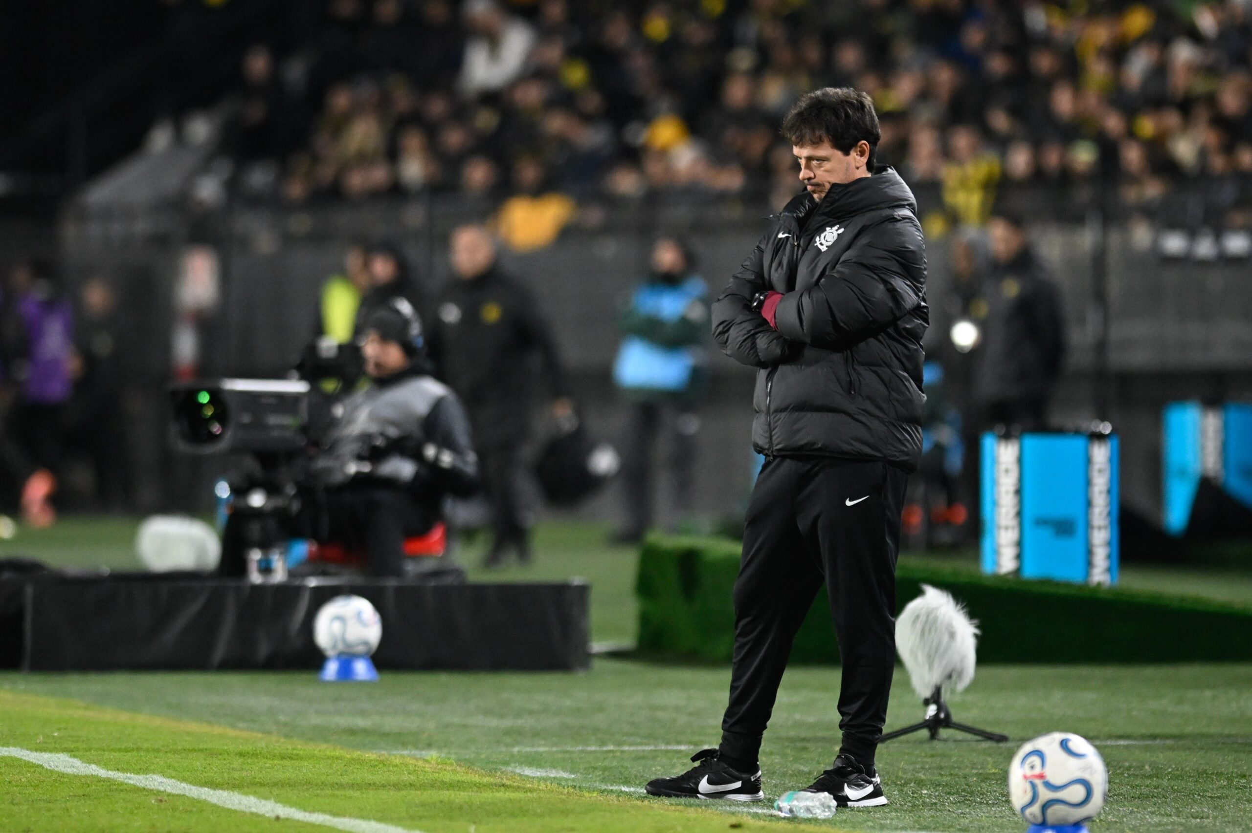 Fernando Diniz alcança maior invencibilidade de um técnico na história da Libertadores
