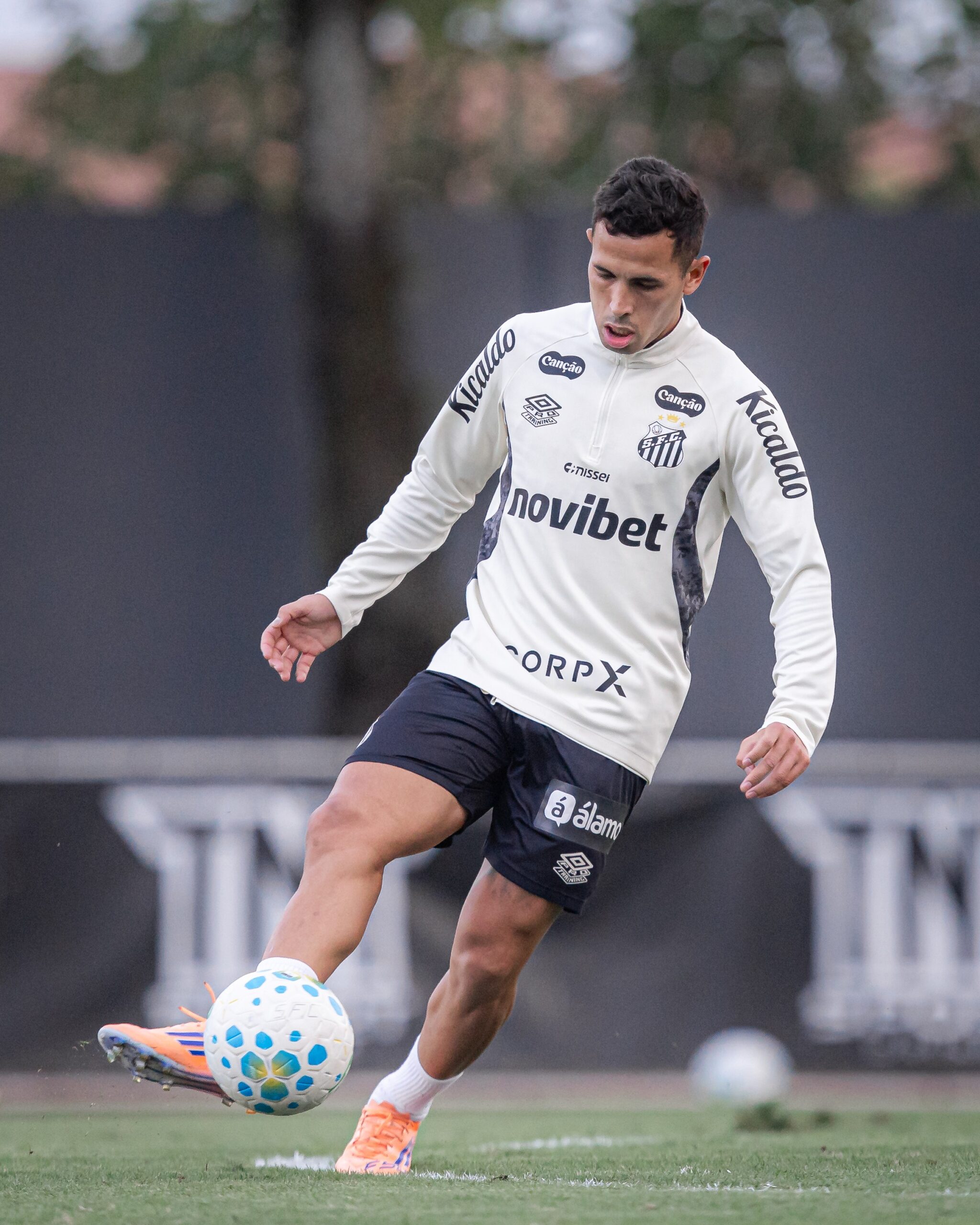 Treino do Santos: Oliva trabalha com bola e pode ser reforço contra o Vitória