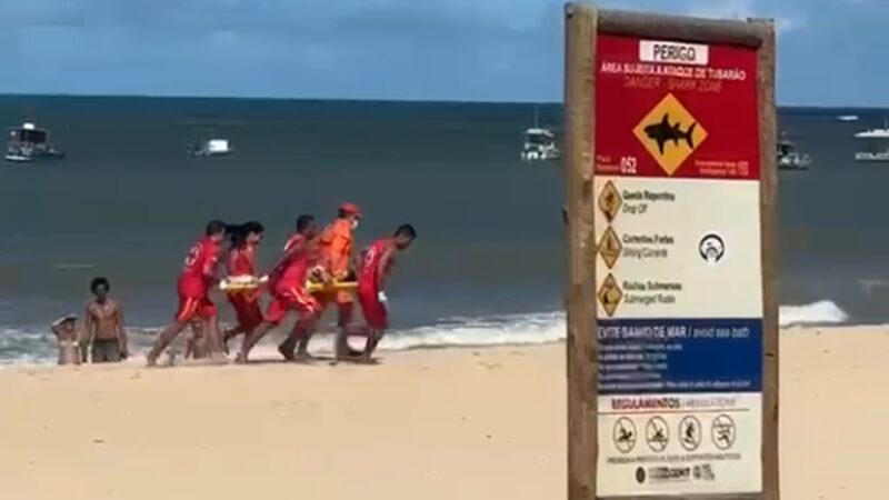 Brasil está entre países com mais casos de ataques de tubarão; veja ranking