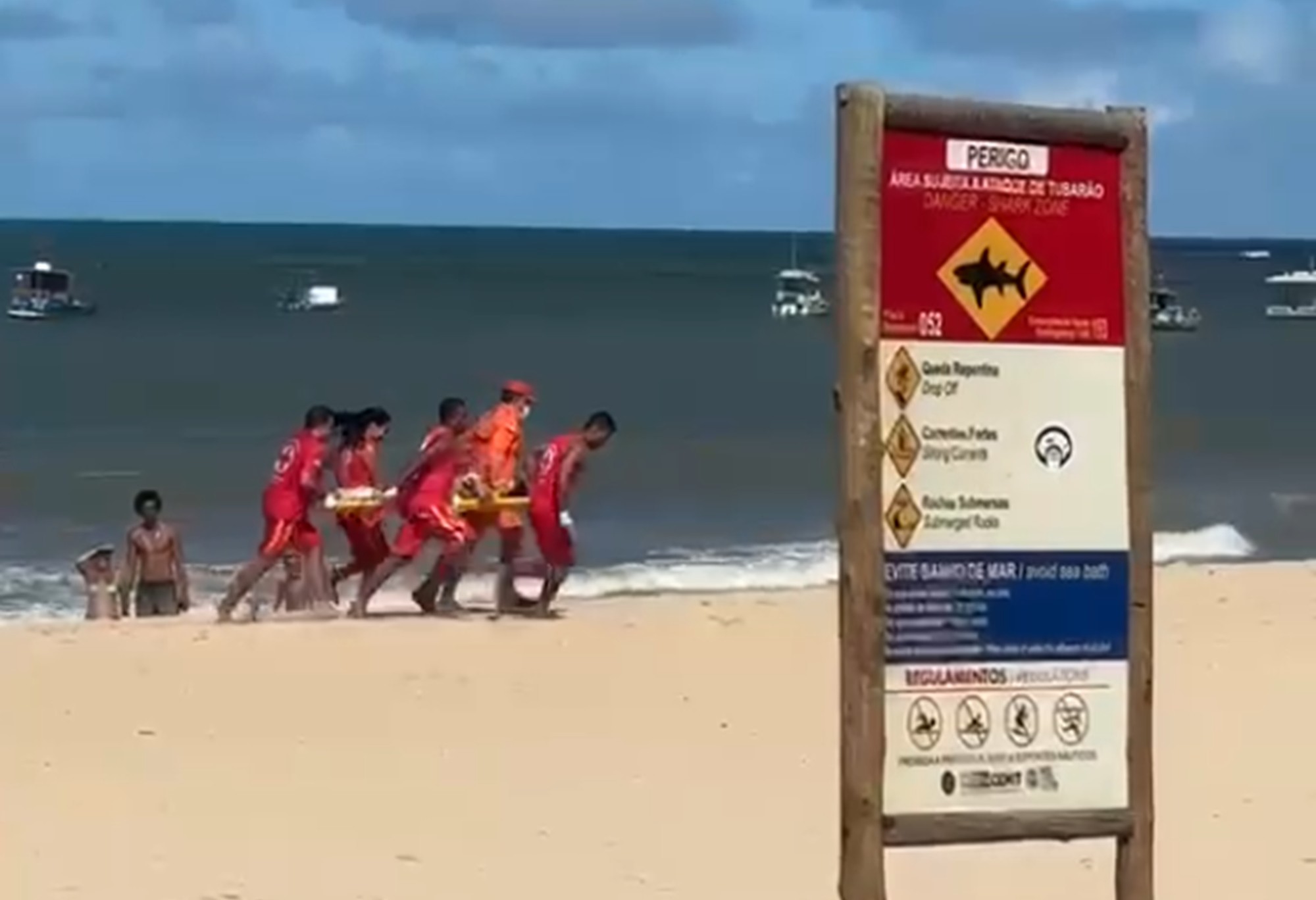 Brasil está entre países com mais casos de ataques de tubarão; veja ranking
