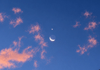 Lua e trio de planetas fazem novo desfile no céu hoje; saiba como observar