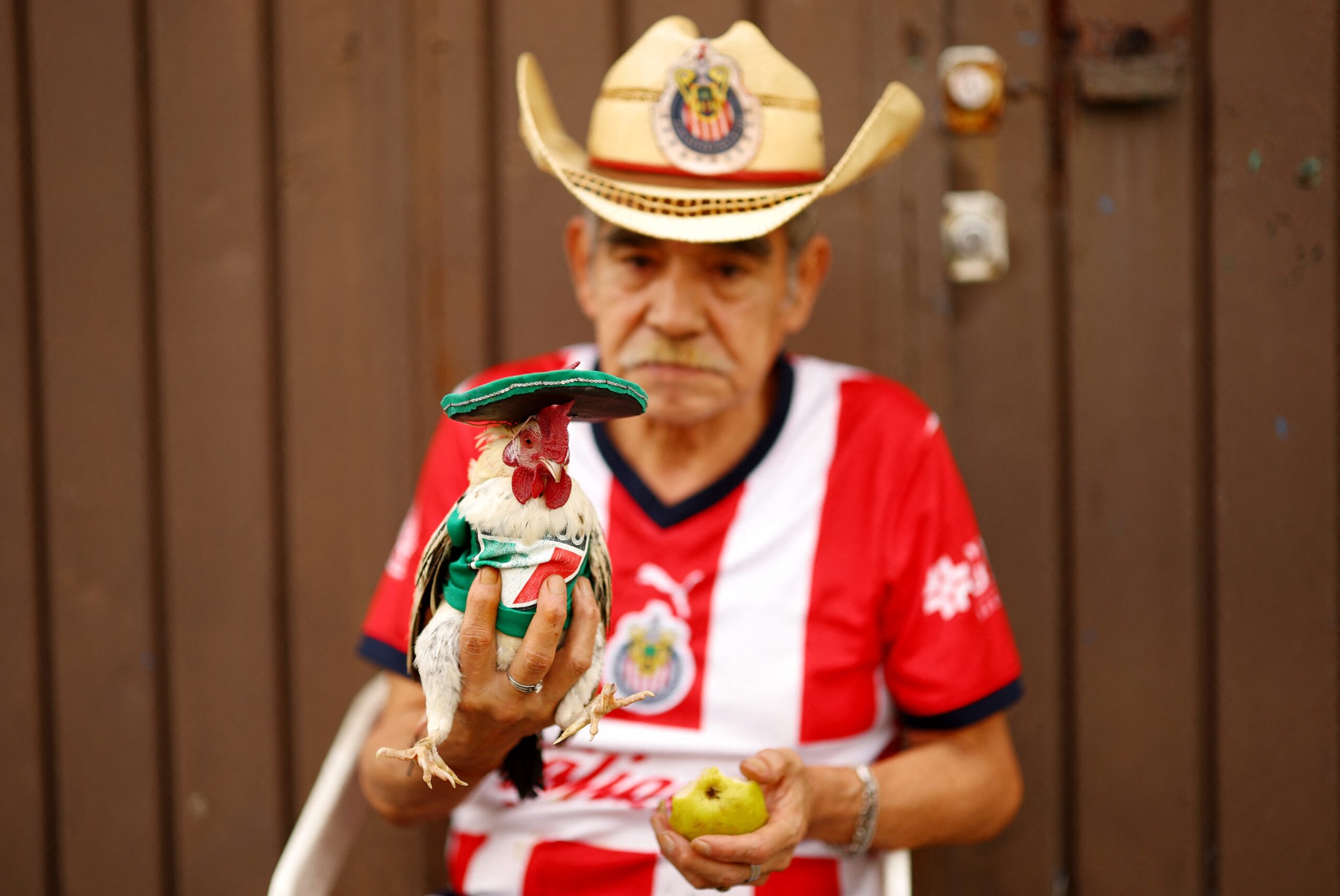 Mascotes da Copa: animais ‘torcedores’ chamam atenção perto de estádio no México; veja FOTOS