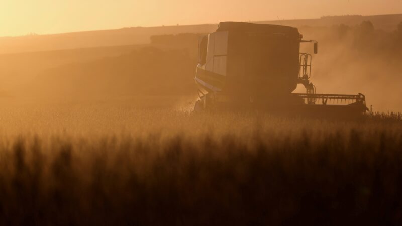 Leilões de propriedades rurais disparam no Brasil com aumento da inadimplência no campo