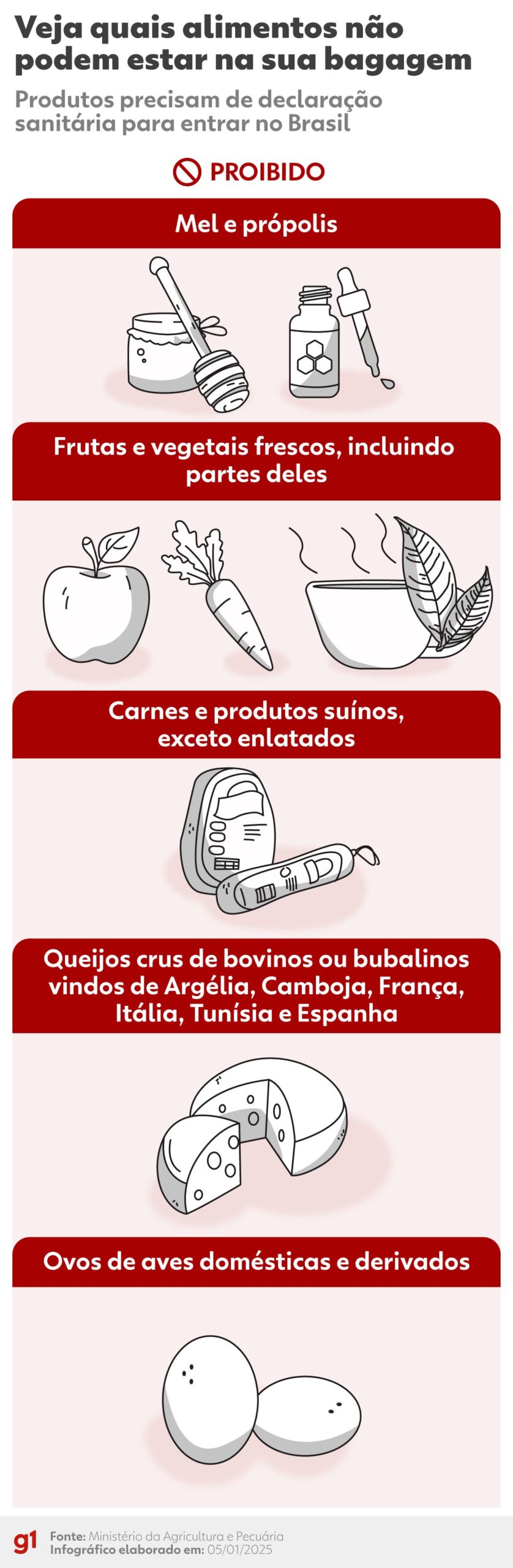Vai trazer comida do exterior? Veja o que pode entrar no Brasil e o que exige autorização