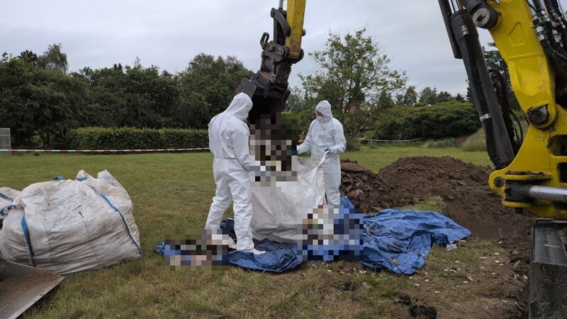 Mais de 30 fetos são encontrados em jardim de médica na Polônia