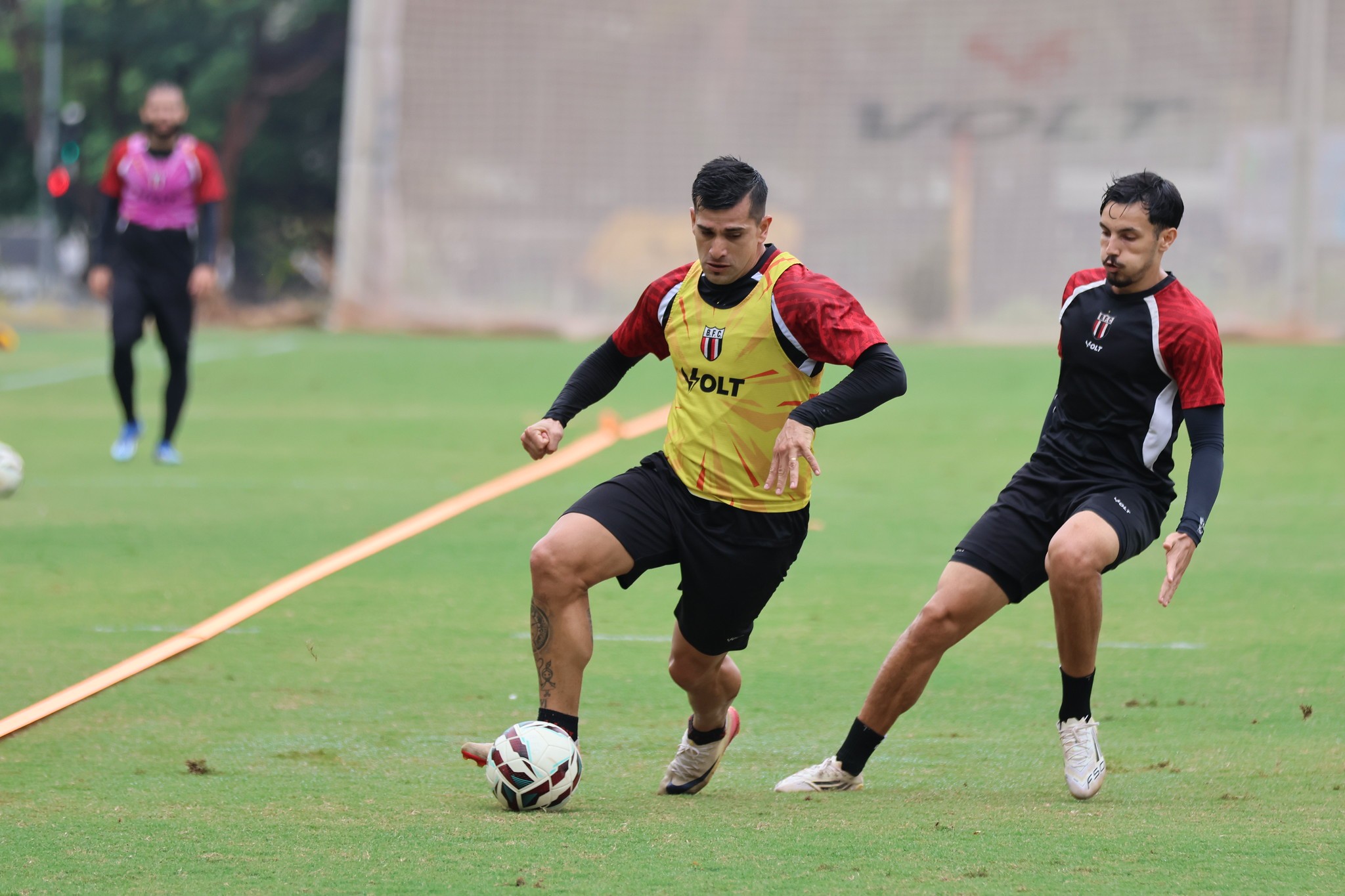 Botafogo-SP tem volta de Maciel, mas perde dupla por suspensão