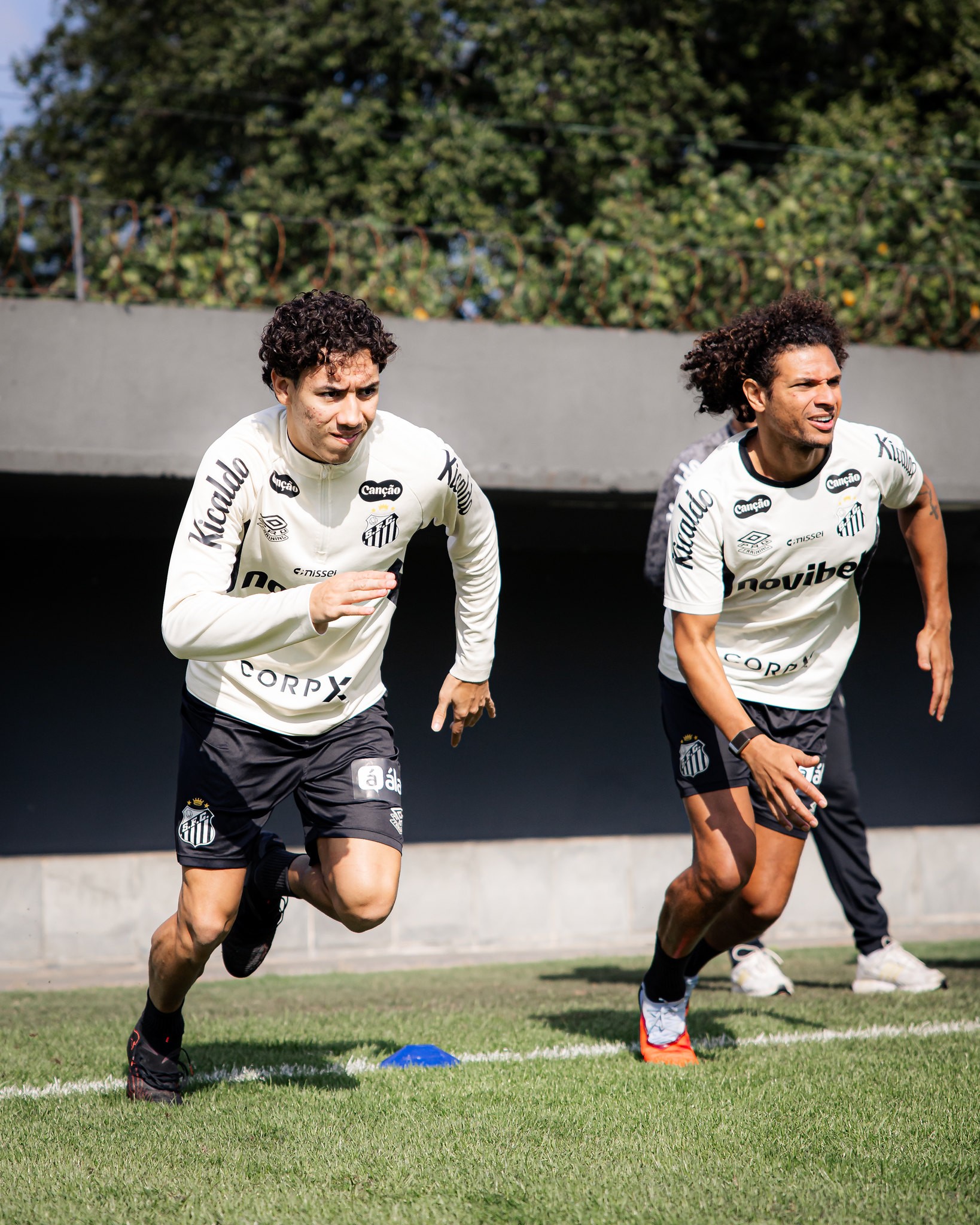 Santos faz treino físico no CT Rei Pelé; Willian Arão e Gabriel Bontempo trabalham no gramado