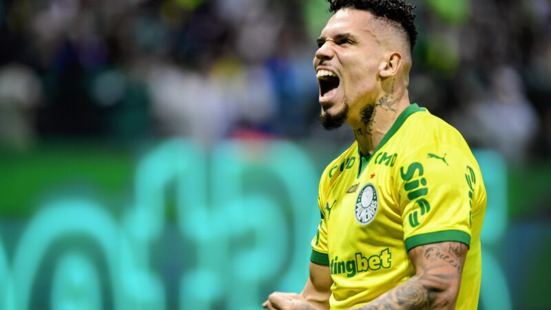 Palmeiras tem 51% de chances de título da Série A, e Flamengo 35% antes da parada para a Copa