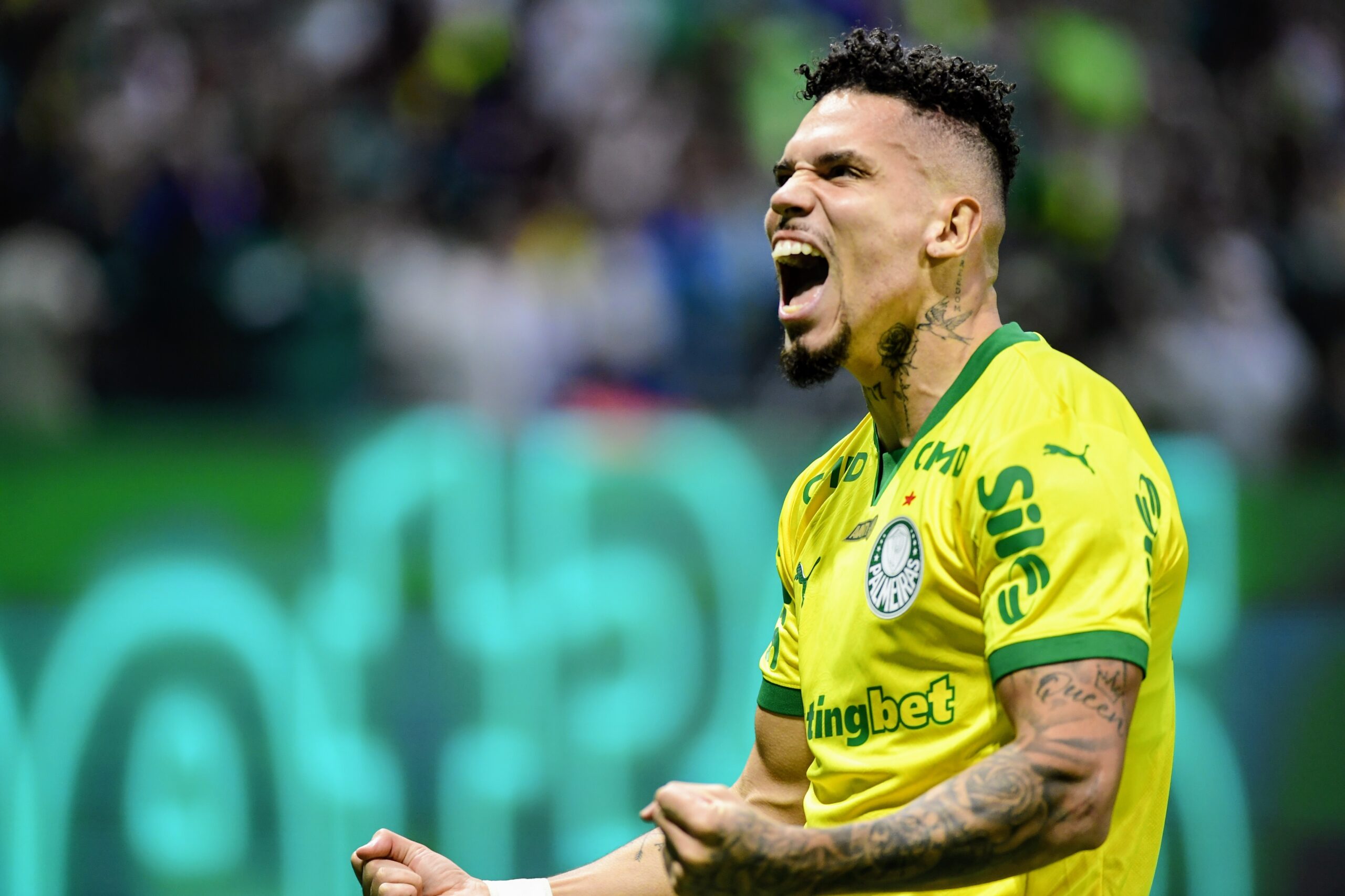 Palmeiras tem 51% de chances de título da Série A, e Flamengo 35% antes da parada para a Copa