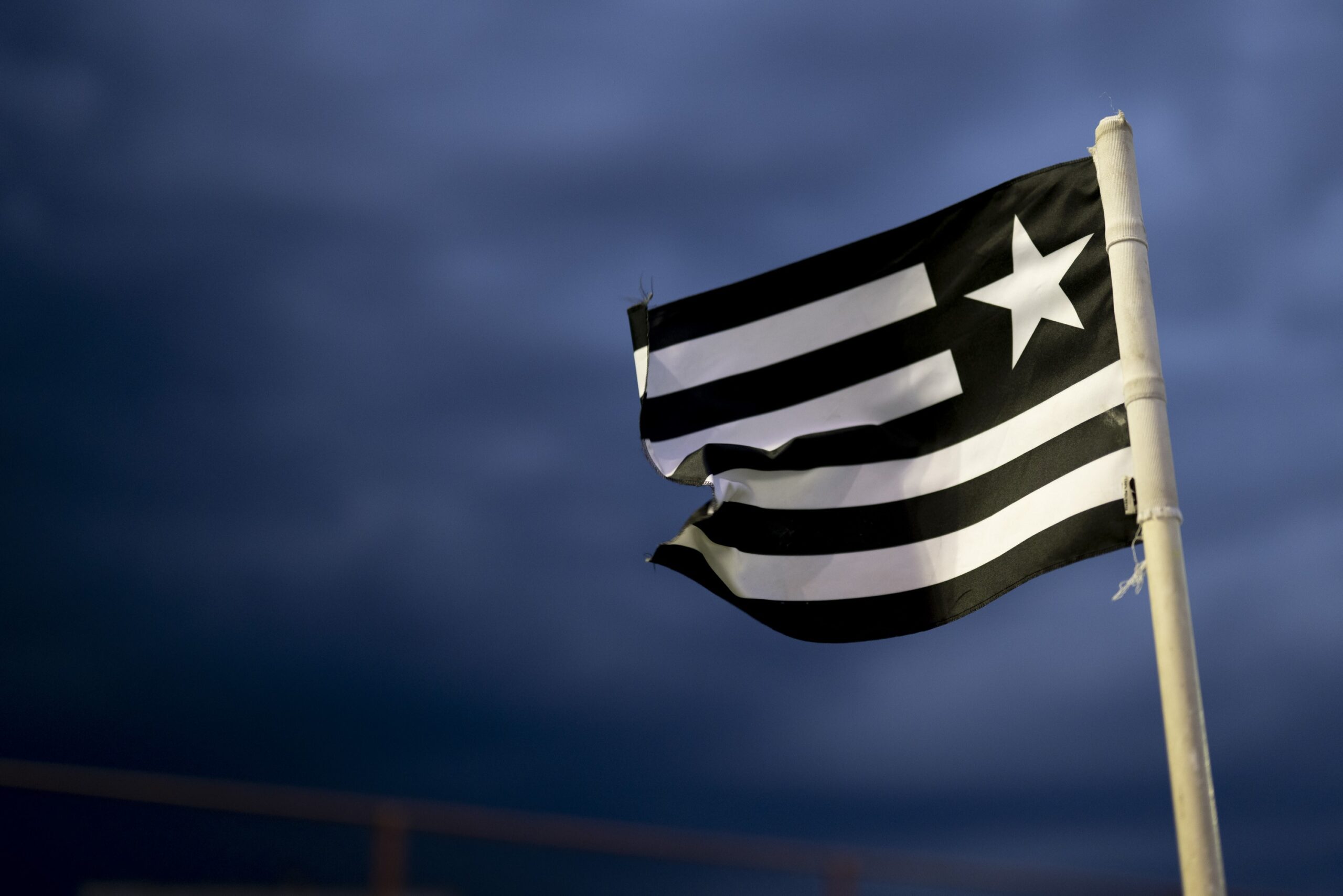Conselheiros enviam ofício ao presidente do Botafogo e cobram transparência em venda da SAF