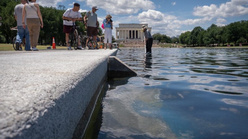 Espelho d’água de Washington tem reforço na vigilância após Trump culpar vândalos por algas