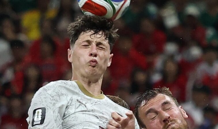 Palpites e dicas para República Tcheca x África do Sul pela Copa do Mundo