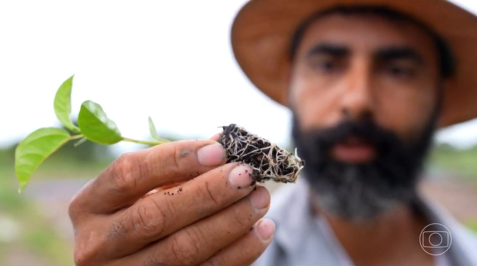 ‘Ajoelhei e pedi a Deus que me desse água’: como a irrigação transformou ‘corredor da miséria’ em Goiás em polo de frutas