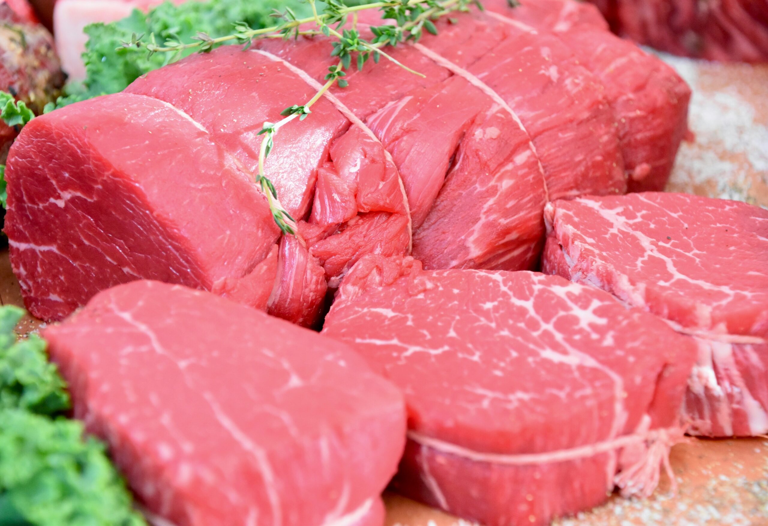 Veto à carne do Brasil: por que a União Europeia quer mais controle sobre antibióticos na pecuária