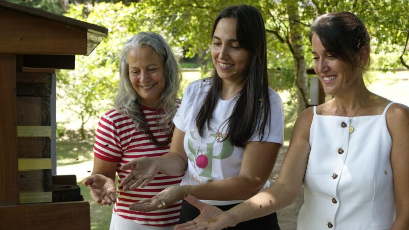 Pequenos insetos, grandes negócios: mulheres transformam hobby por abelhas em fonte de renda no ES