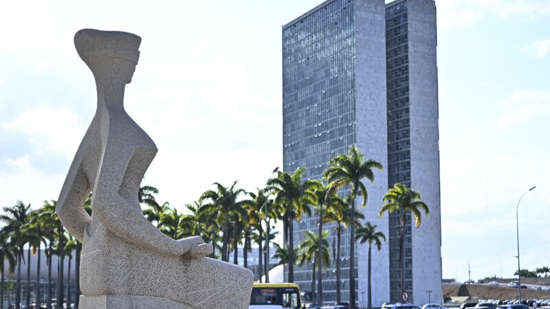 Entidades vão contestar no STF decisão do Congresso Nacional que dificulta aborto legal em crianças