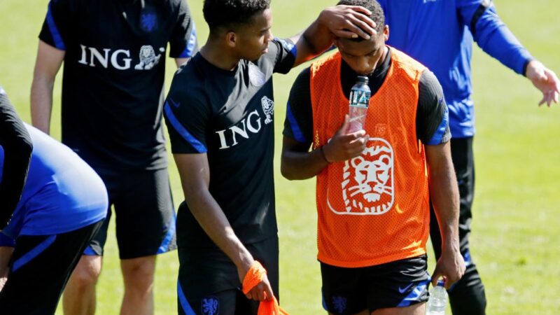 Gêmeos prodígios da Holanda revivem desilusão de não jogarem juntos a Copa do Mundo