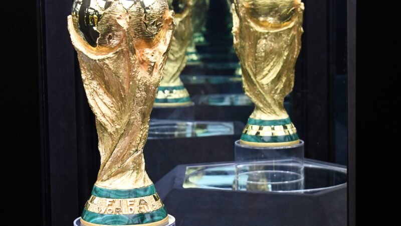 Copa do Mundo: veja onde assistir aos jogos do Brasil em Juiz de Fora