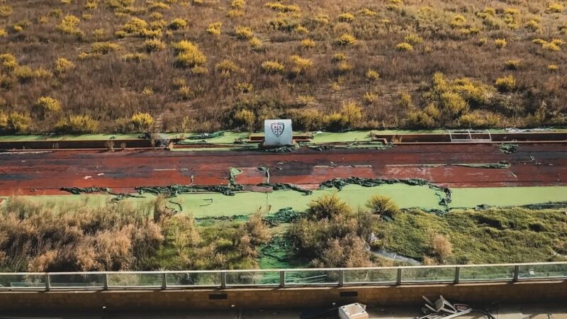 Veja os estádios de Copas do Mundo que sofrem com pouca utilização e abandono