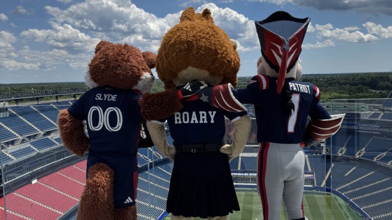 Líder do grupo do Brasil, Escócia tem encontro de seu mascote com os de clubes da NFL e da MLS