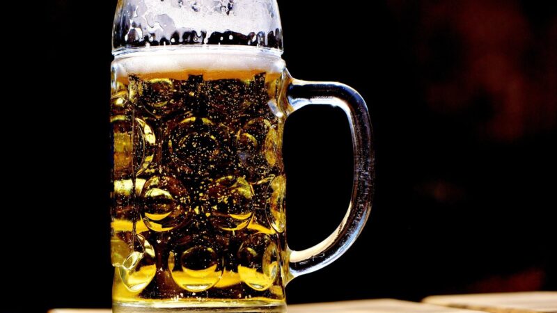 Sufocada por calor extremo, Paris proíbe consumo de álcool