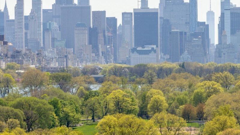 Central Park terá exibição gratuita da final da Copa do Mundo
