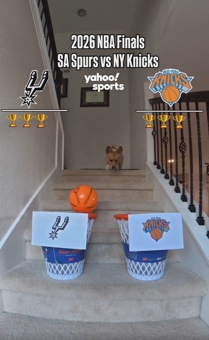Cão-vidente que viralizou por prever vencedores em série crava Spurs campeão da NBA