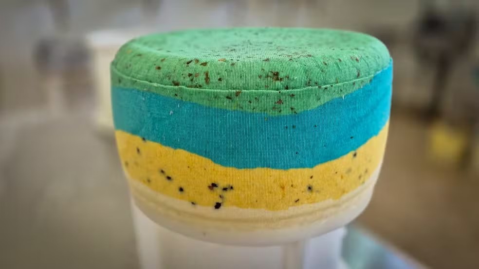 Queijo nas cores do Brasil: estudantes de MG criam receita inspirada na Copa do Mundo