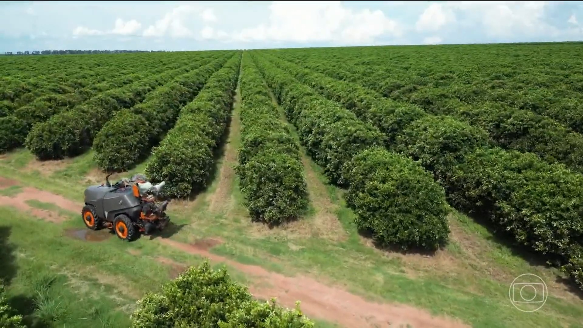 Inadimplência no agronegócio do Brasil termina 2025 a 8,2%, aponta Serasa