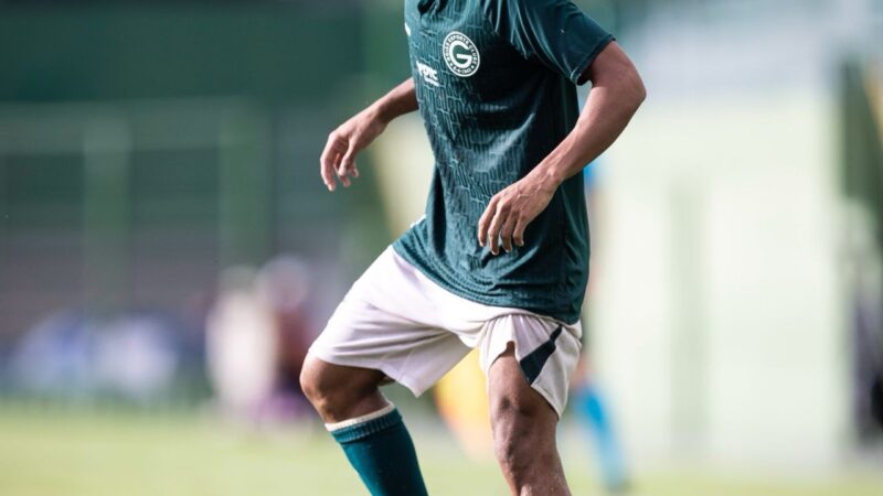 Destaque da base retorna ao Goiás após passagem invicta pelo Palmeiras