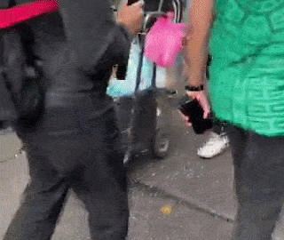 VÍDEO: pato com camisa do México chama a atenção na Copa; país teve outros ‘animais torcedores’