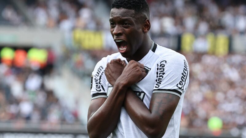 Torcida do Botafogo cria campanha por Luiz Henrique; entenda