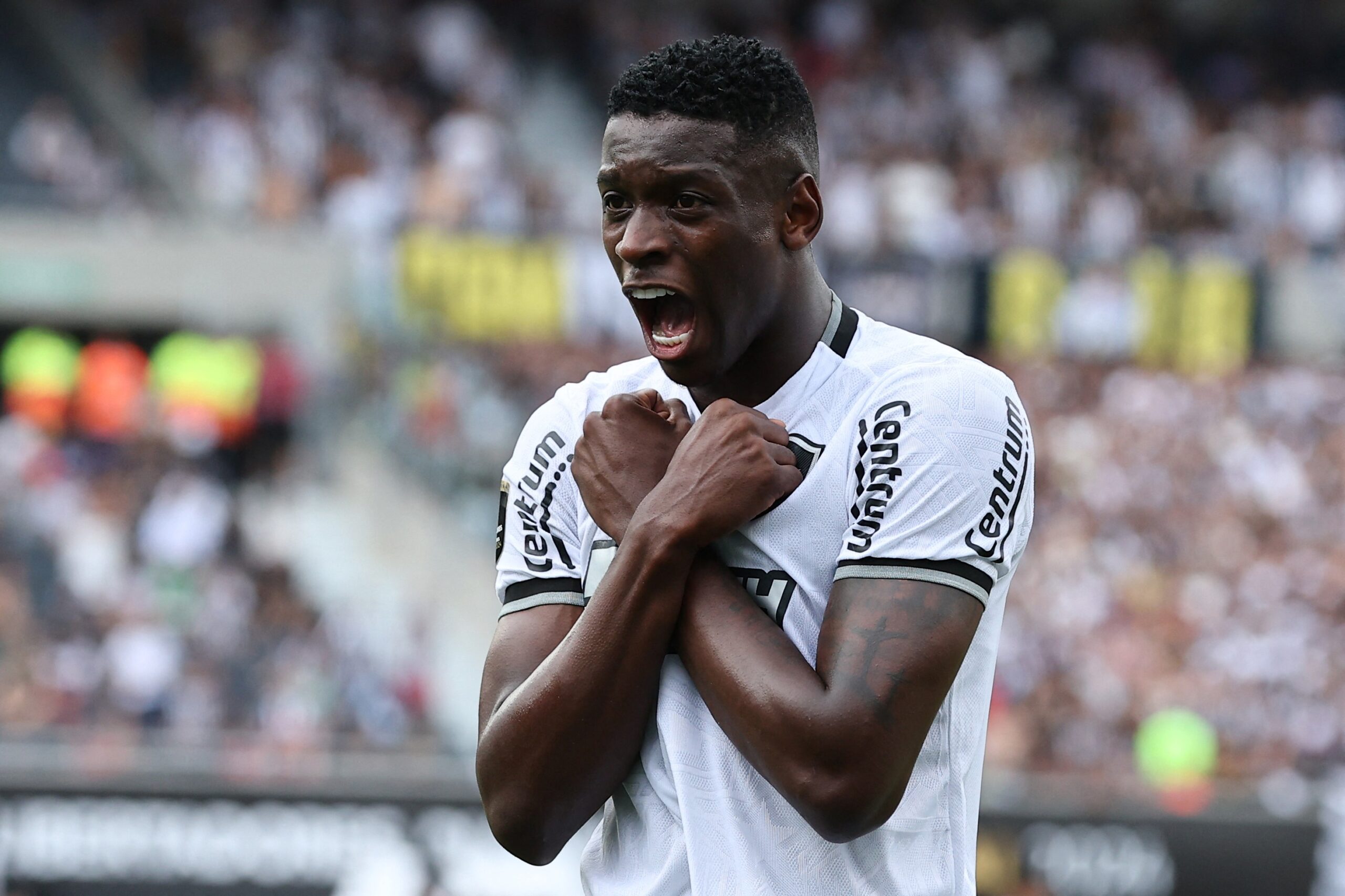 Torcida do Botafogo cria campanha por Luiz Henrique; entenda