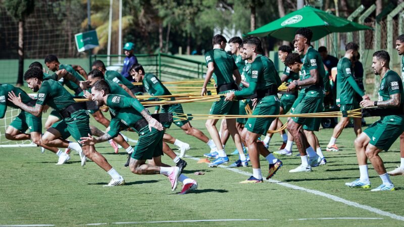 Goiás reage e fica a um ponto do G-6 após duas vitórias seguidas na Série B