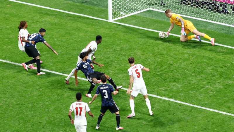 Pickford, Shobeir, Williams… veja vídeos de defesaças nesta Copa do Mundo
