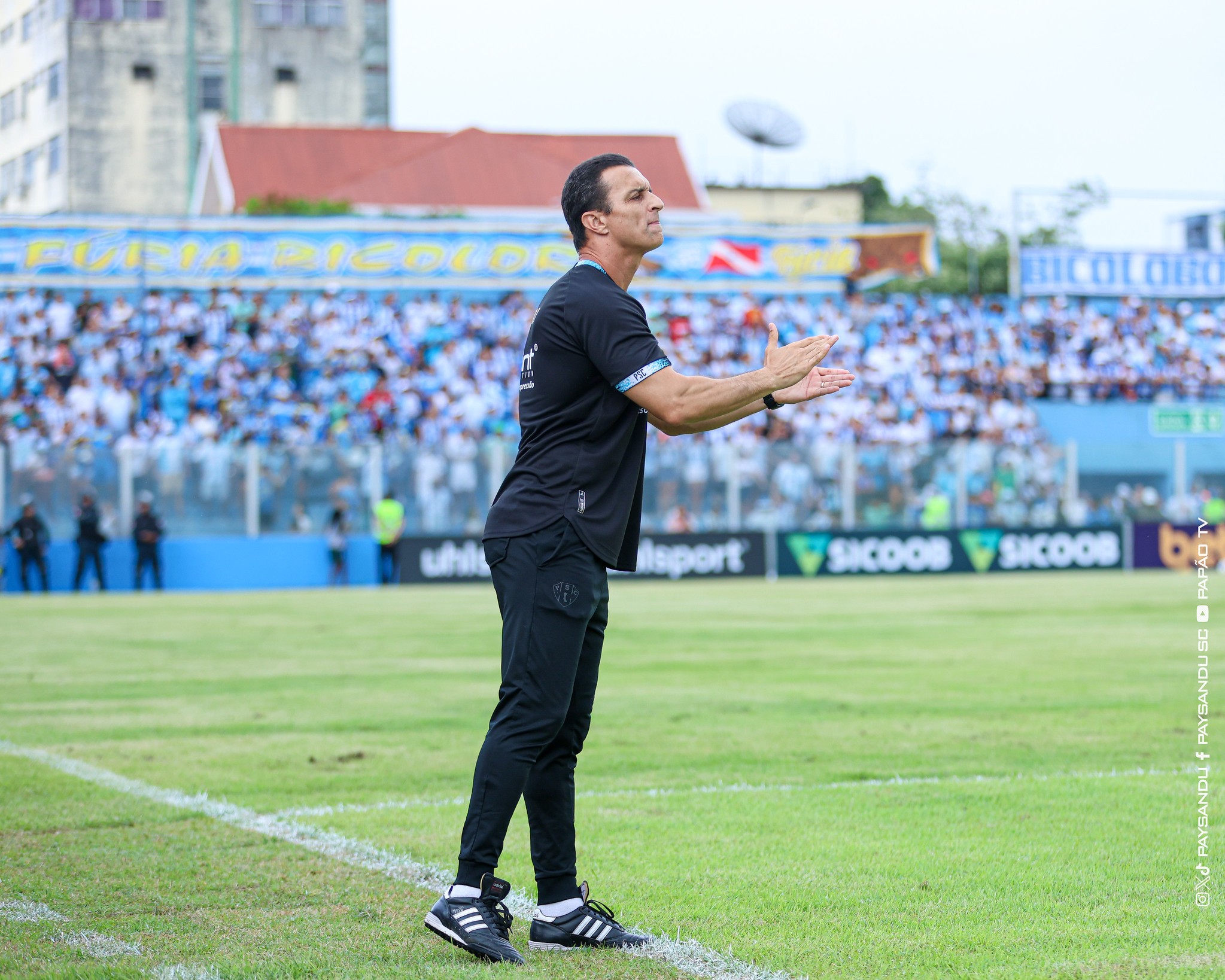 Júnior Rocha exalta superação do Paysandu em virada e absorve Mesquita: “Baita goleiro”