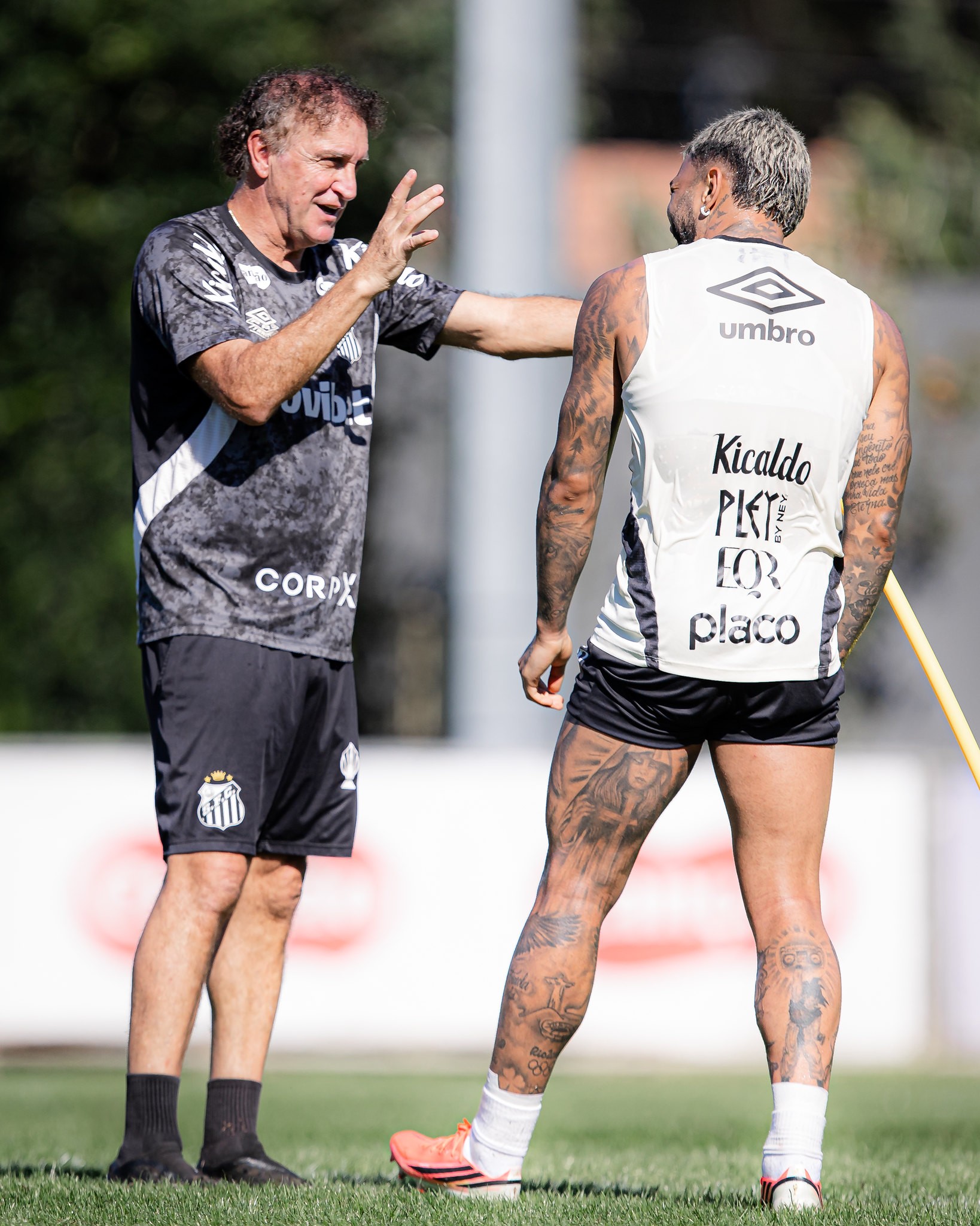 Santos reencontra União São João depois de 21 anos e tenta manter invencibilidade; veja números