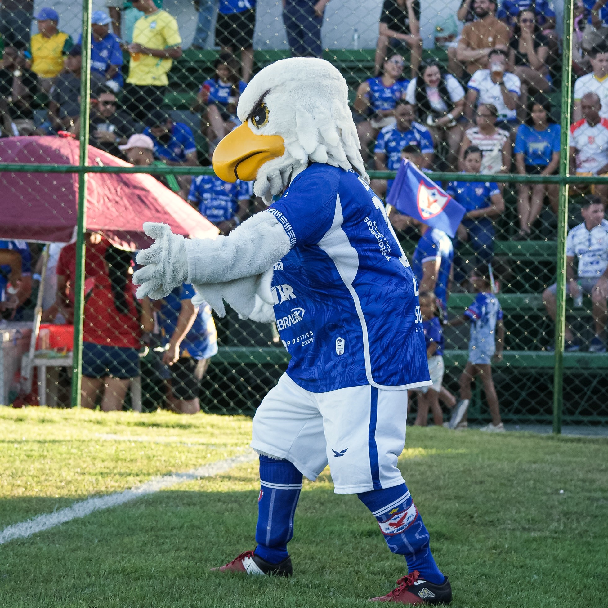 Eliminação do Águia amplia jejum de acessos do Pará na Série D