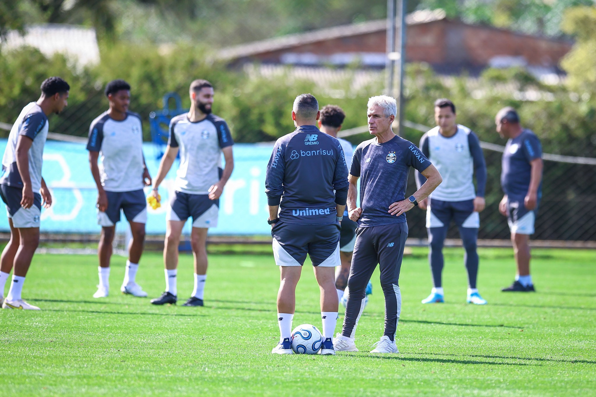 Grêmio tem diagnóstico sobre Luís Castro e elenco em meio a retorno conturbado ao Brasileirão