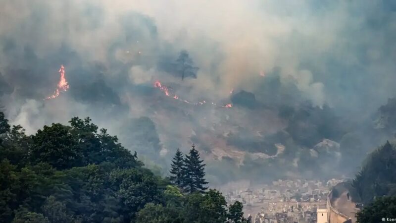 Incêndios devastam florestas durante calor intenso na Europa