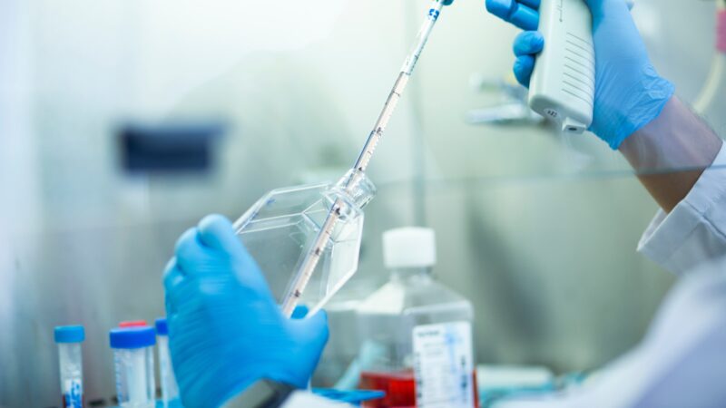 Brasil cria centro para produzir insumos farmacêuticos e reduzir dependência do exterior; projeto não tem prazo nem meta definidos