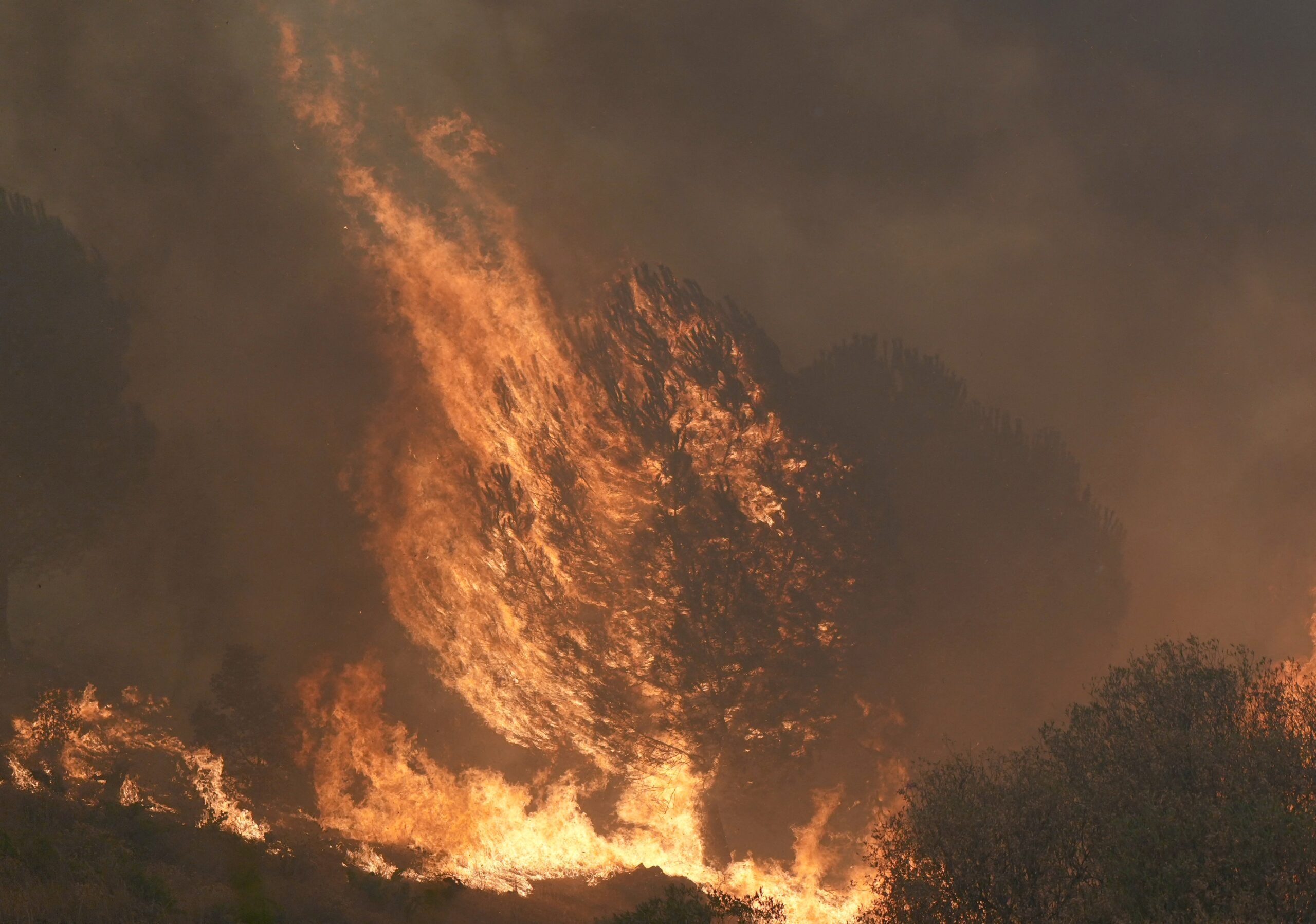 Incêndio florestal nos arredores de Madri está ‘fora de capacidade de extinção’, dizem bombeiros; centro da Nasa na Espanha é esvaziado