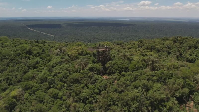 Parque Estadual abriga maior remanescente de Mata Atlântica do interior paulista
