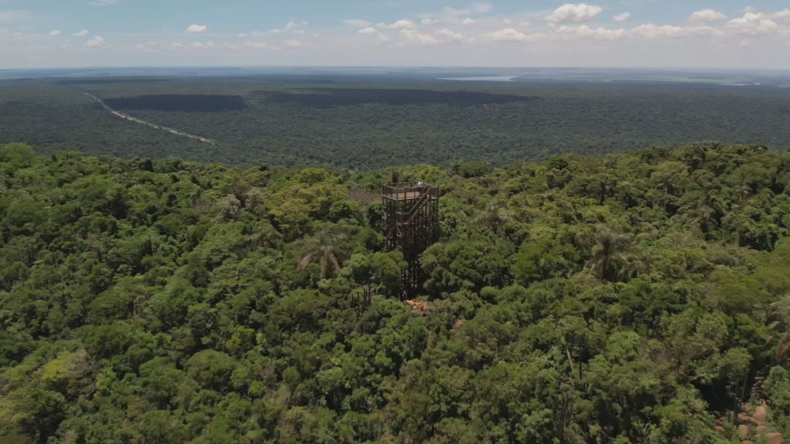 Parque Estadual abriga maior remanescente de Mata Atlântica do interior paulista