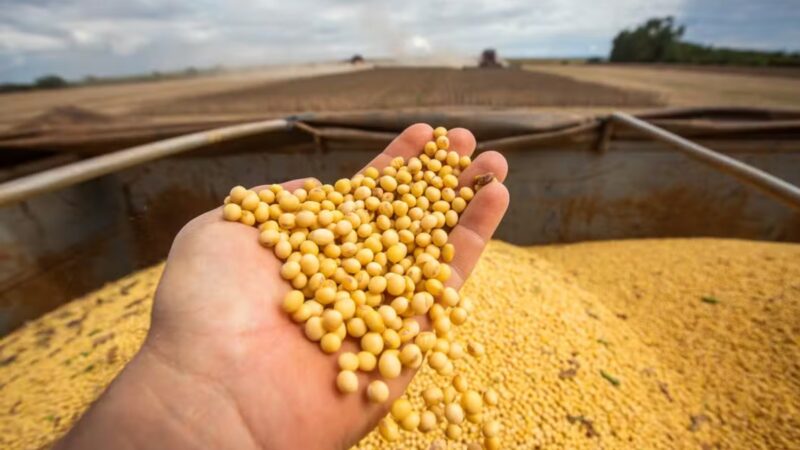 EUA podem perder para o Brasil o papel de maior exportador agrícola do mundo, diz Financial Times