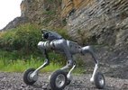 Como é o cão-robô chinês que consegue subir e descer montanhas